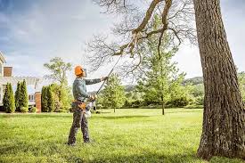 Best Tree Risk Assessment  in Spencerport, NY